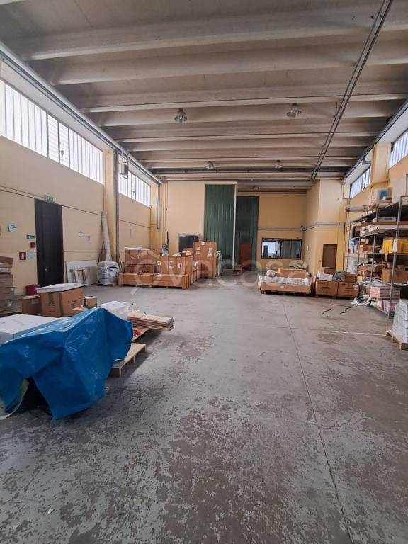 immagine annuncio 11 di 15