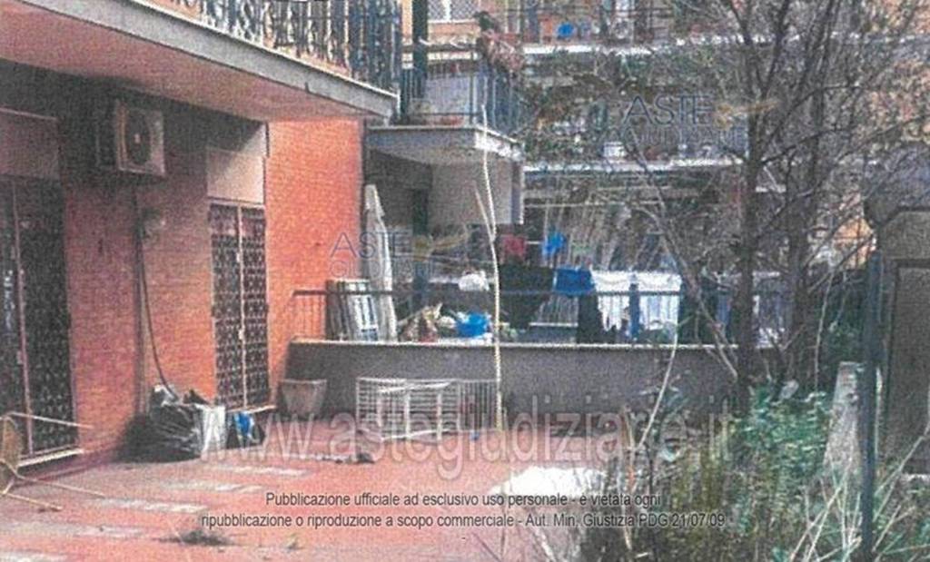 immagine annuncio 2 di 12