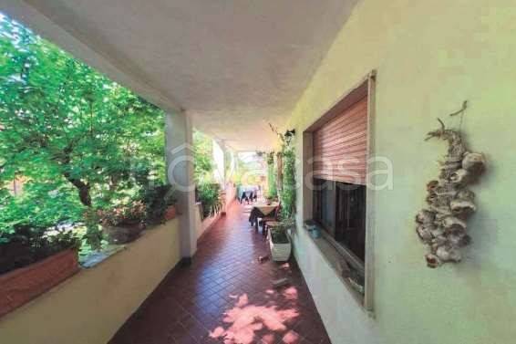 immagine annuncio 2 di 6