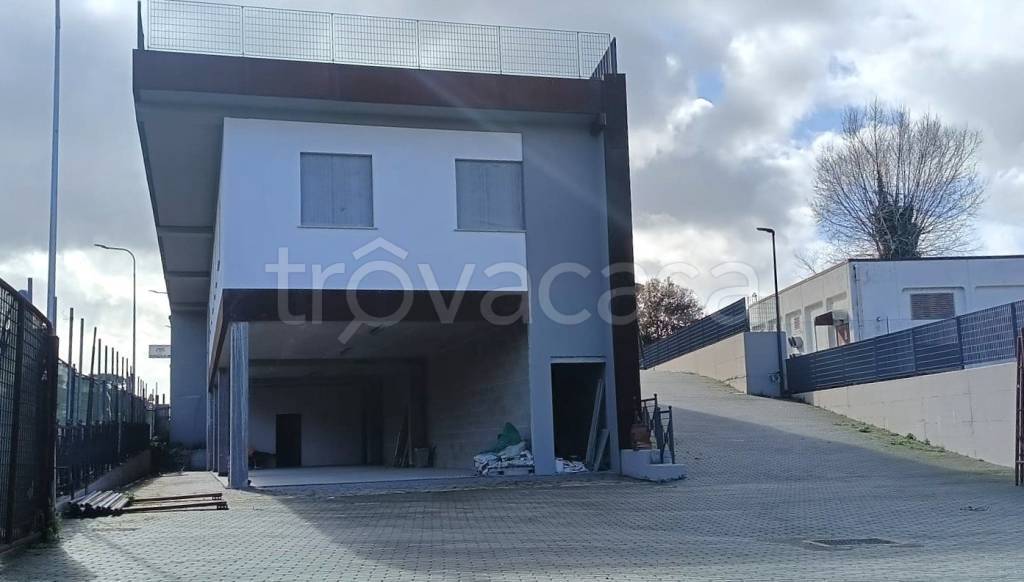 immagine annuncio 2 di 13