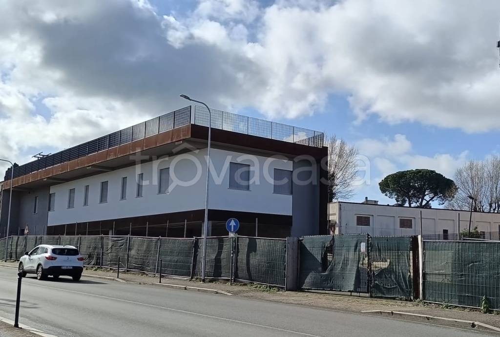 immagine annuncio 11 di 13