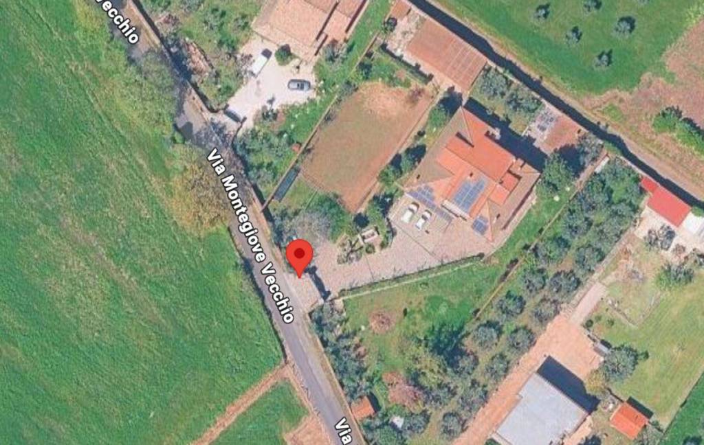 immagine annuncio 2 di 11