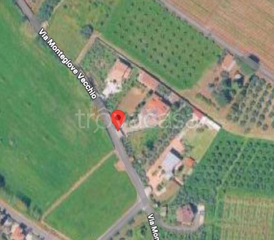 immagine annuncio 3 di 11