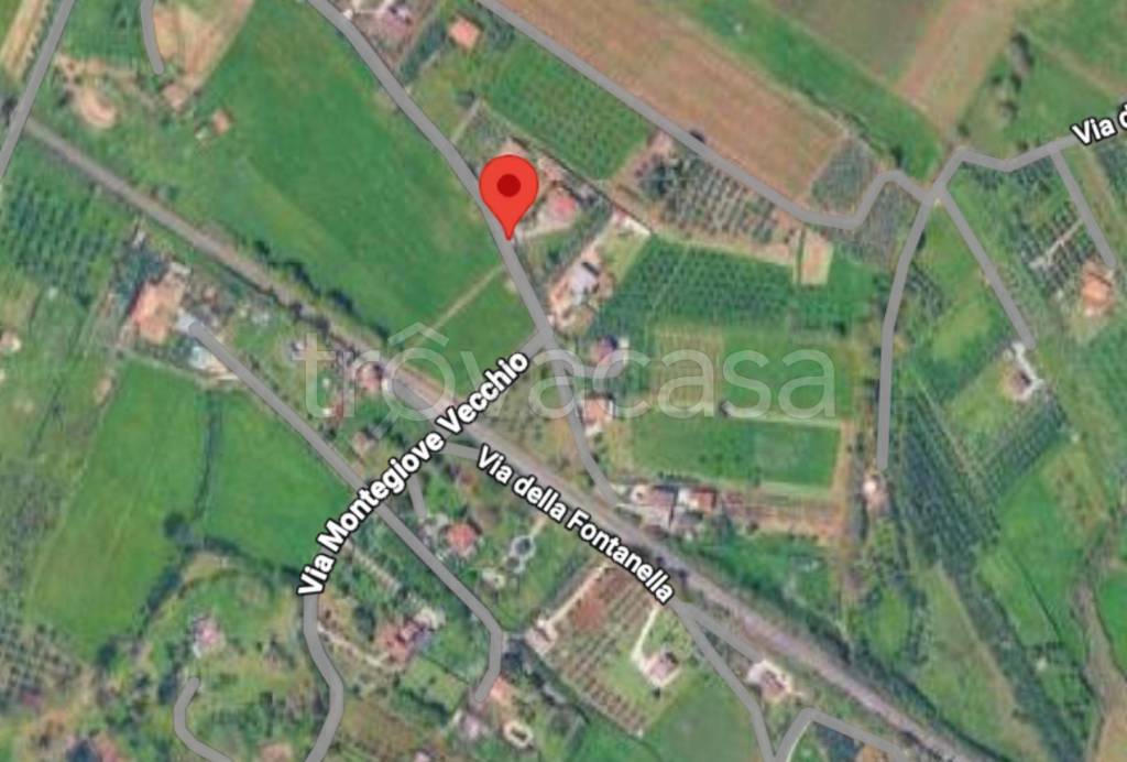 immagine annuncio 4 di 11