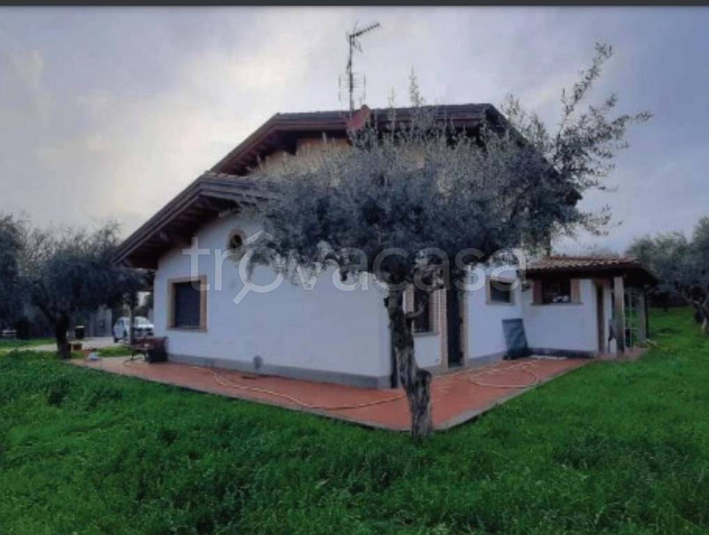 immagine annuncio 7 di 11