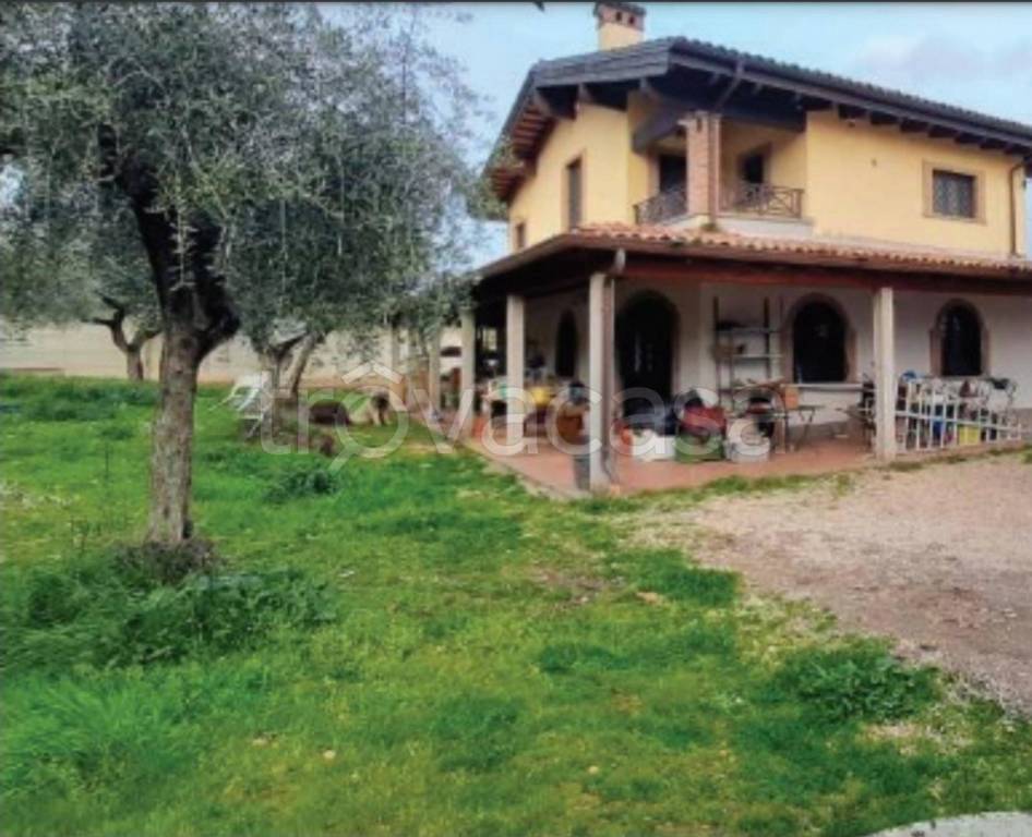 immagine annuncio 8 di 11