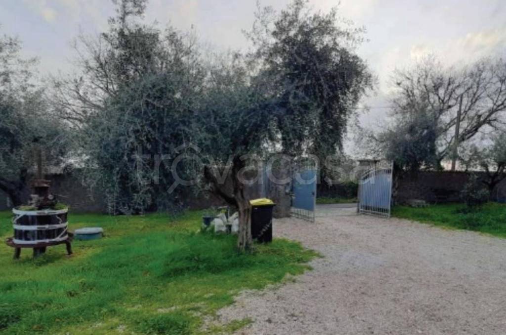 immagine annuncio 10 di 11