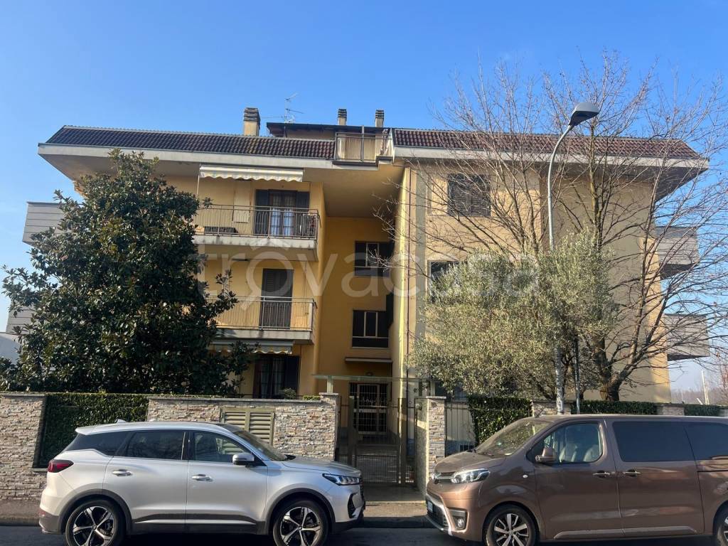 immagine annuncio 1 di 15