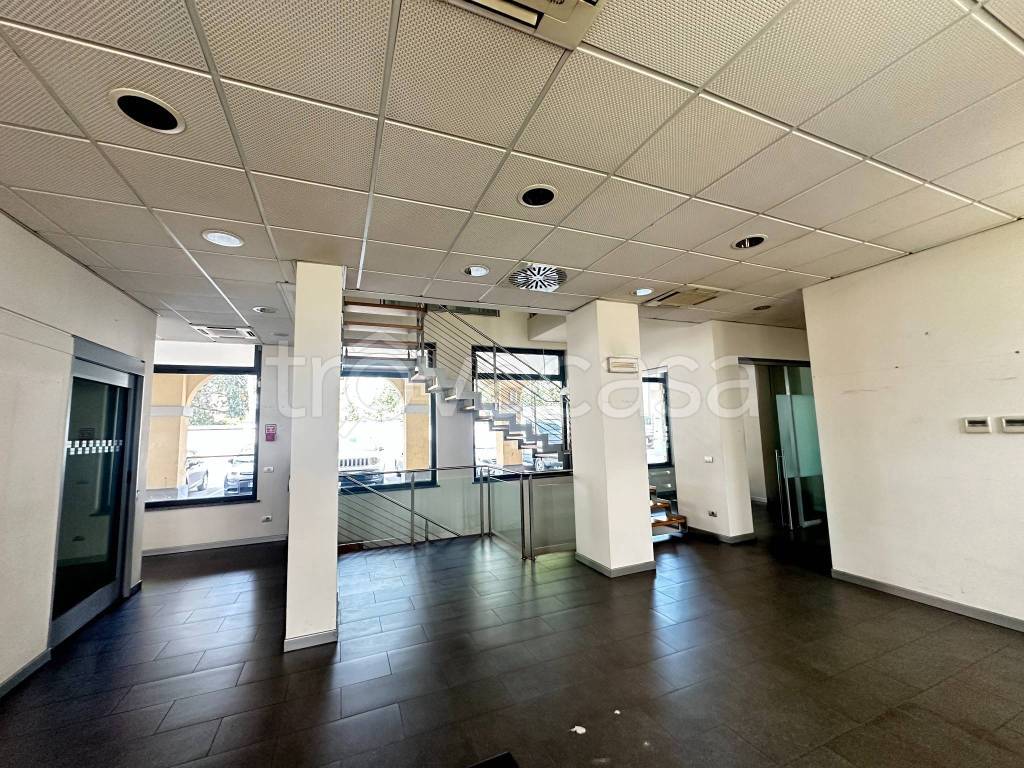 immagine annuncio 2 di 11