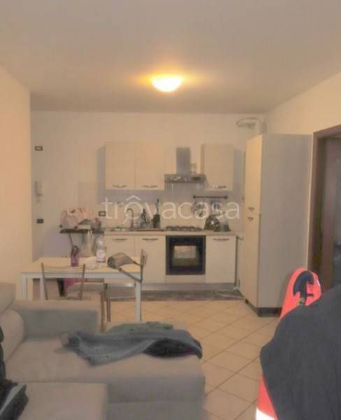 immagine annuncio 6 di 13