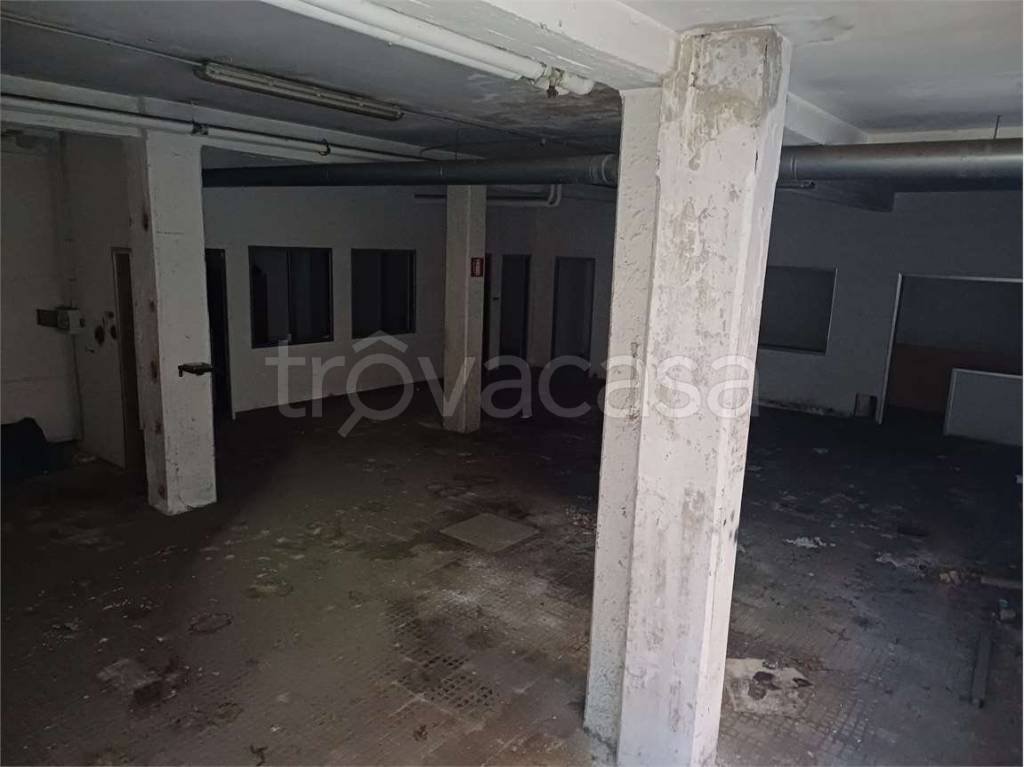 immagine annuncio 3 di 11