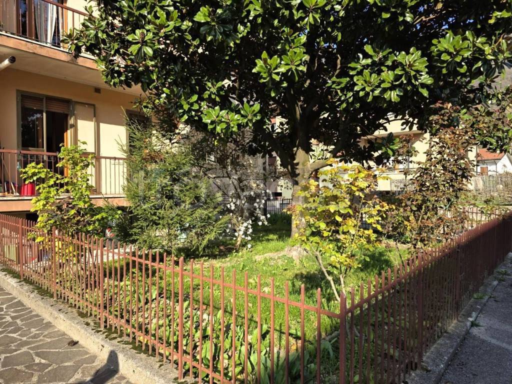 immagine annuncio 6 di 15