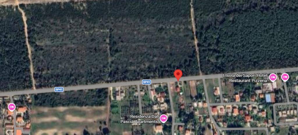 immagine annuncio 5 di 10