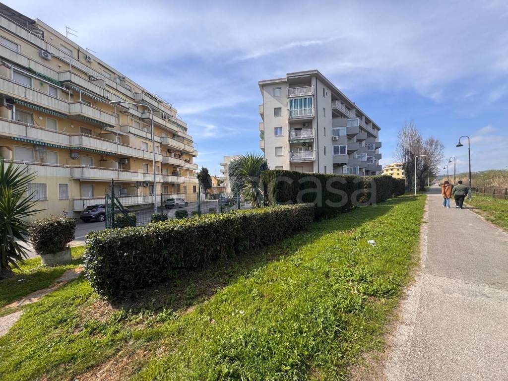 immagine annuncio 13 di 14