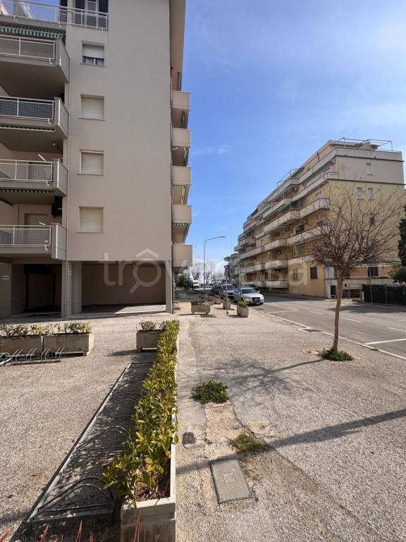 immagine annuncio 12 di 14