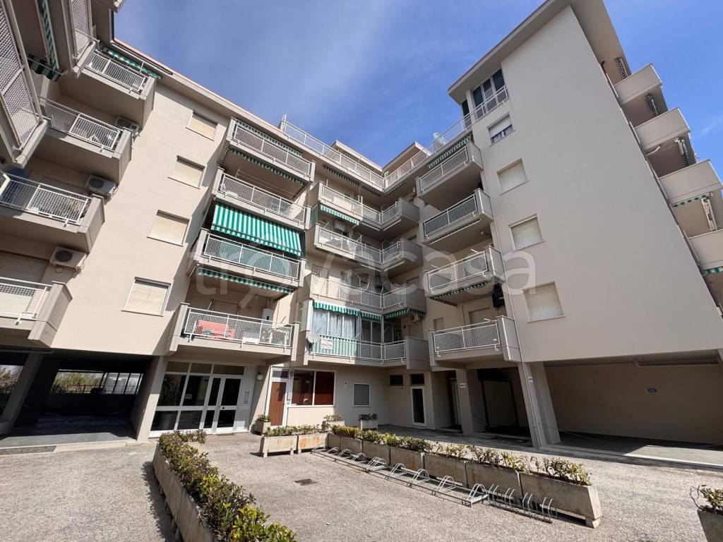 immagine annuncio 7 di 14