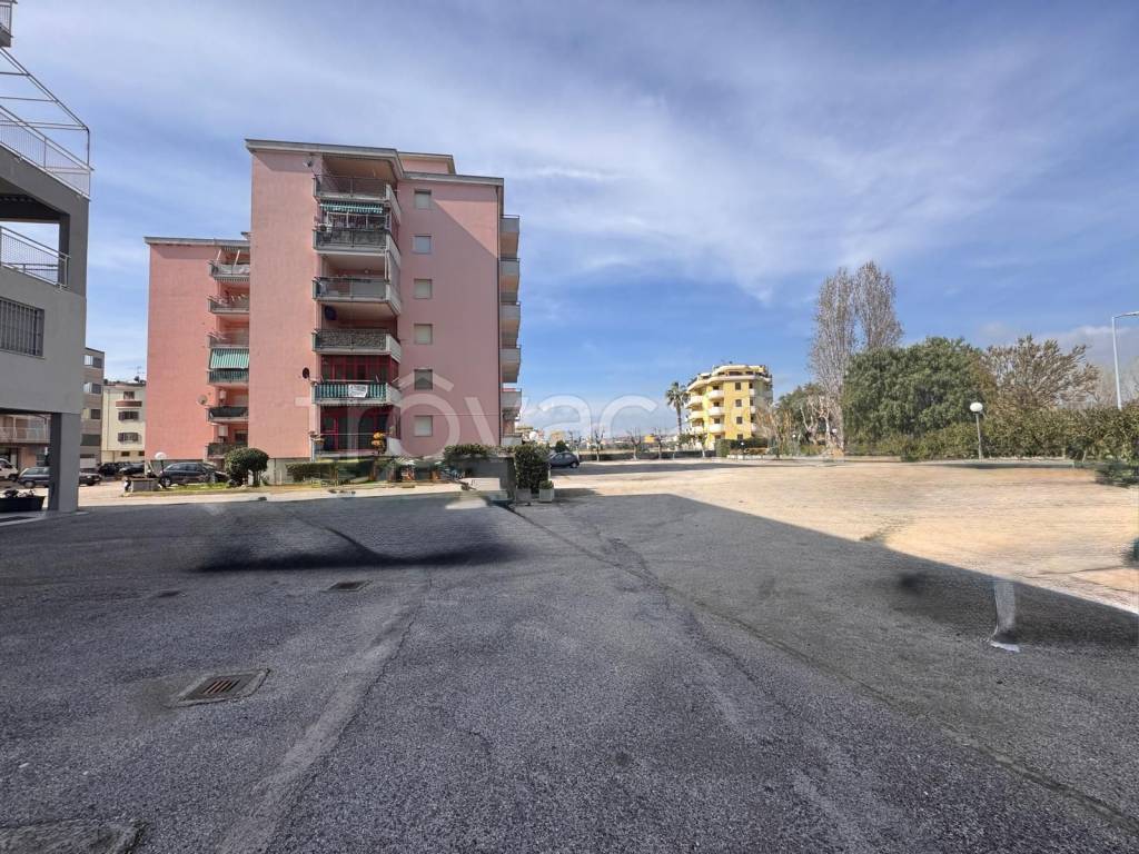 immagine annuncio 6 di 14