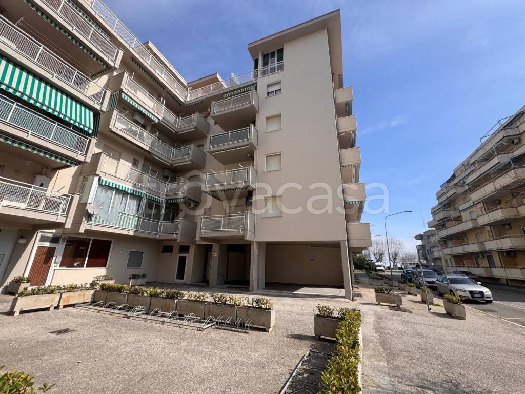 immagine annuncio 10 di 14