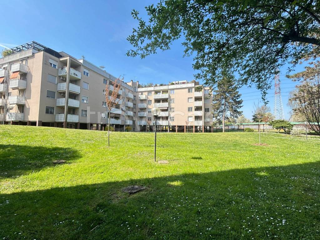 immagine annuncio 4 di 15