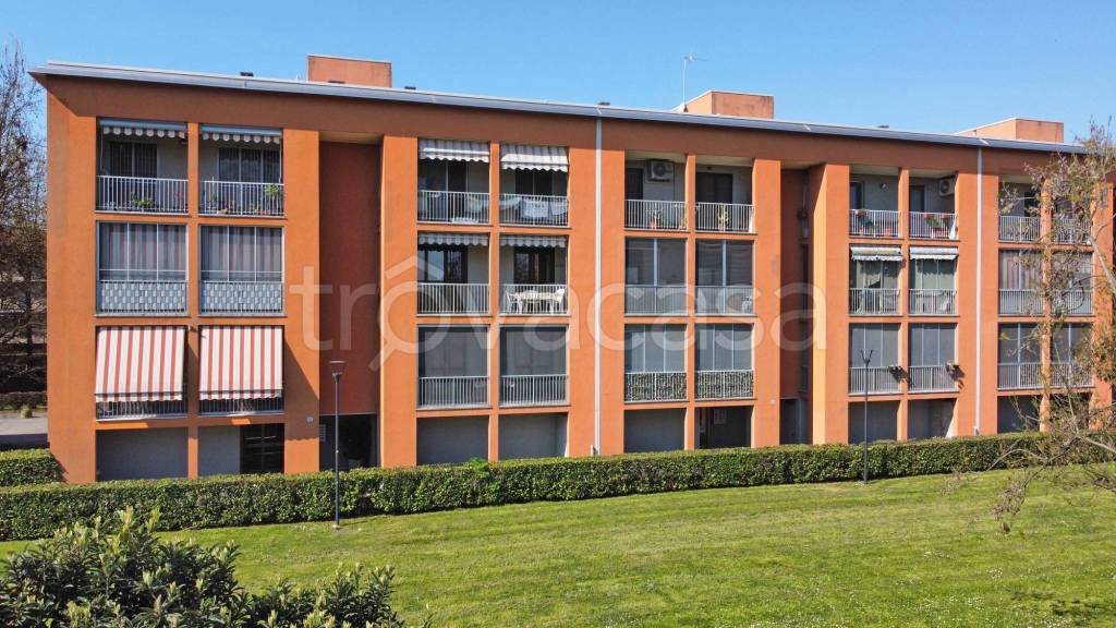 immagine annuncio 9 di 15