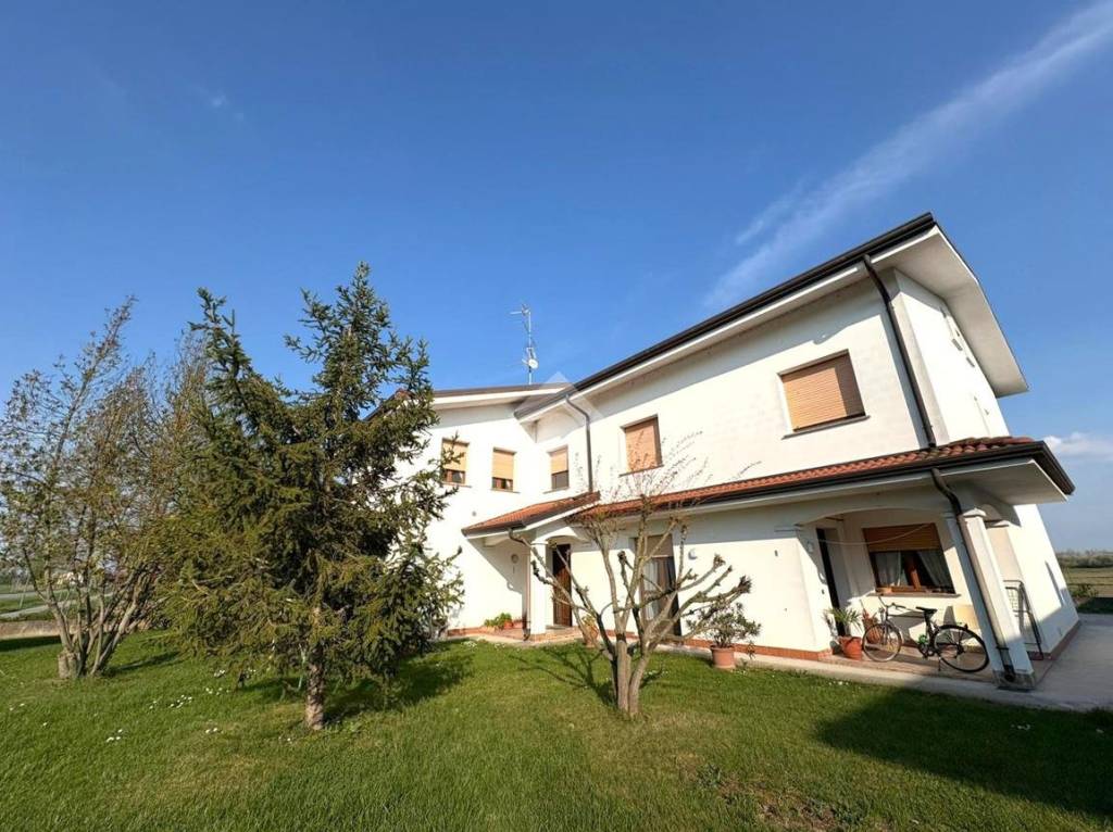 immagine annuncio 11 di 13