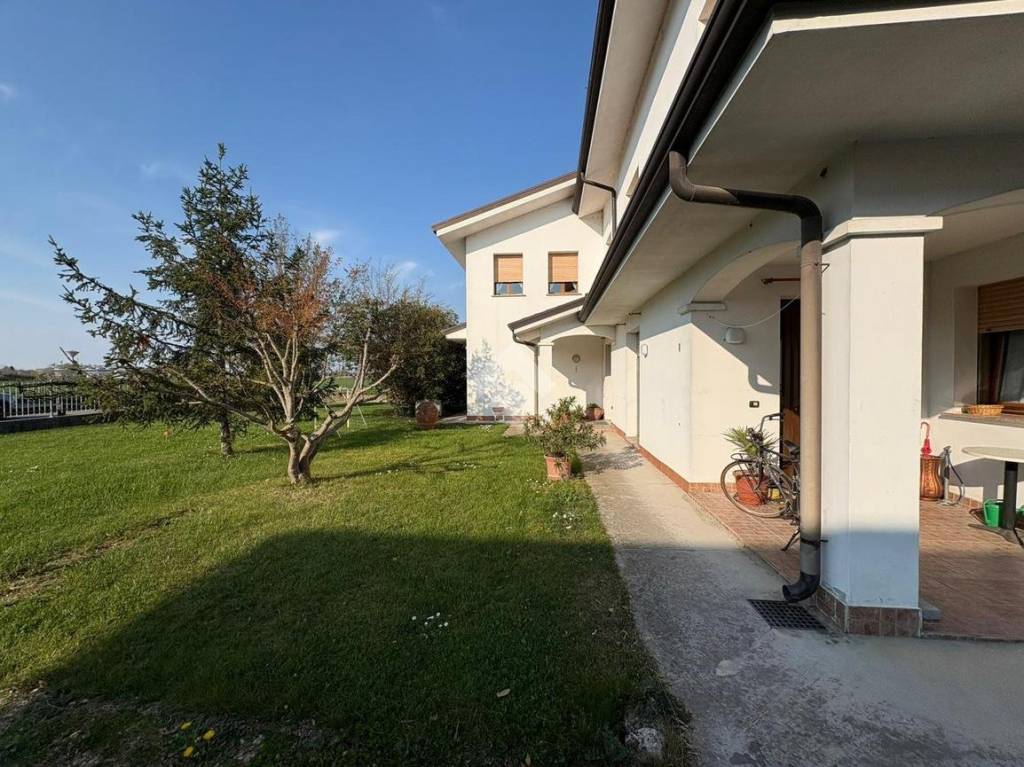 immagine annuncio 12 di 13