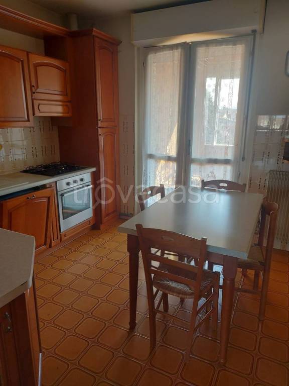 immagine annuncio 2 di 12