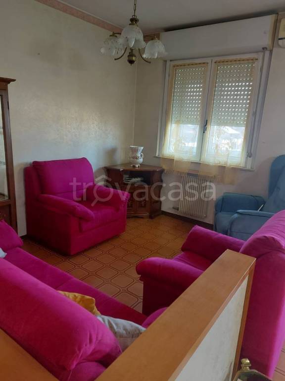 immagine annuncio 5 di 12