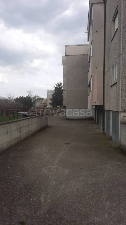 immagine annuncio 10 di 12