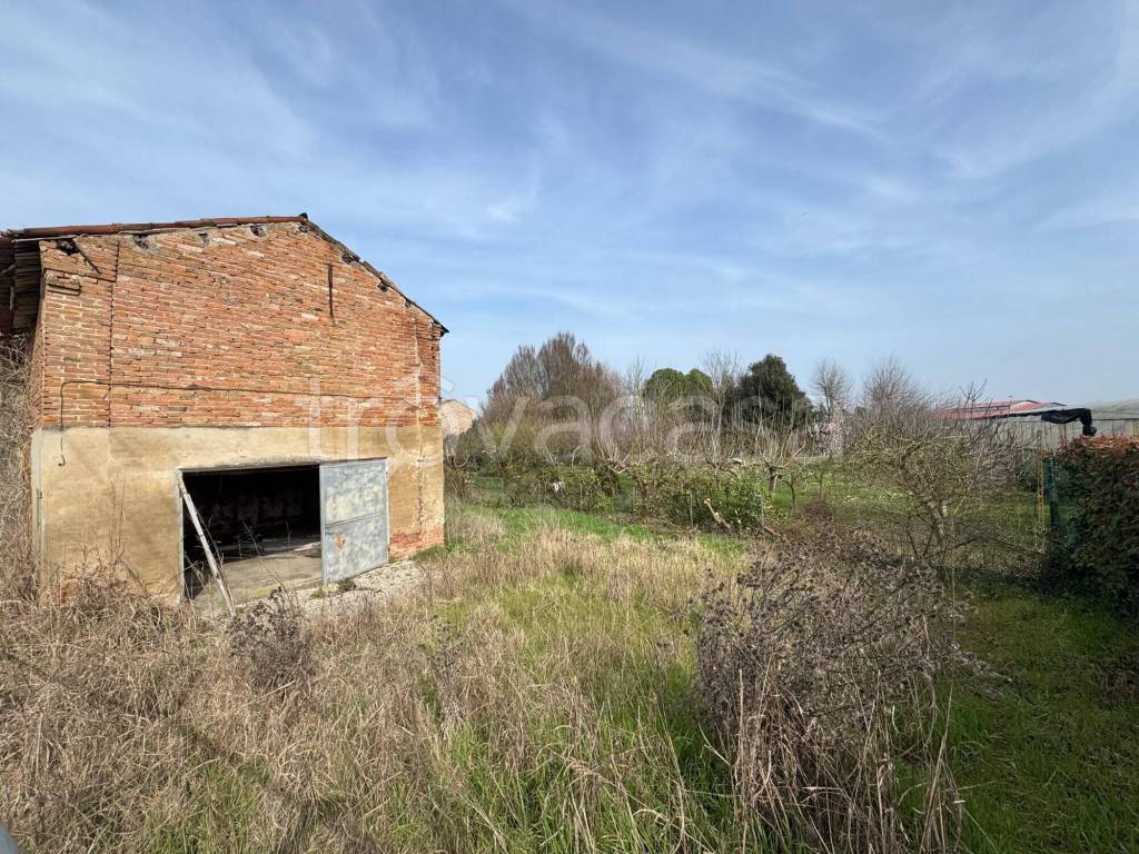 immagine annuncio 2 di 7