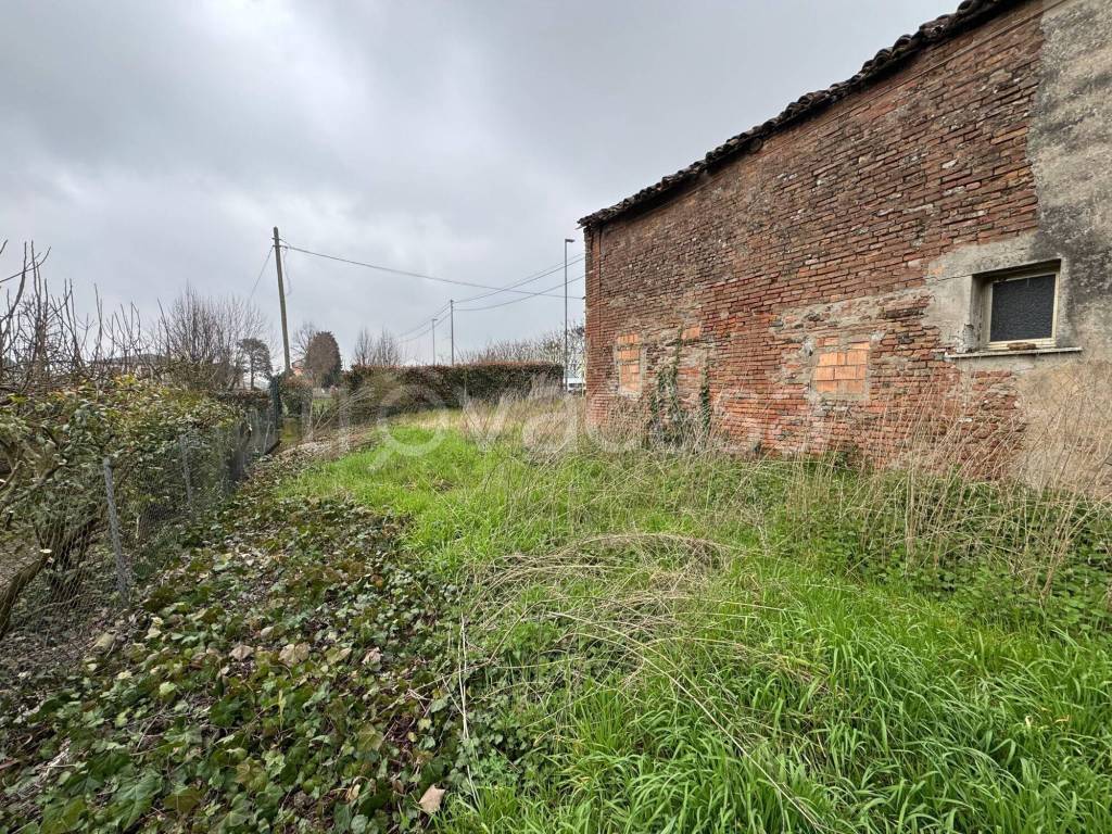 immagine annuncio 3 di 7