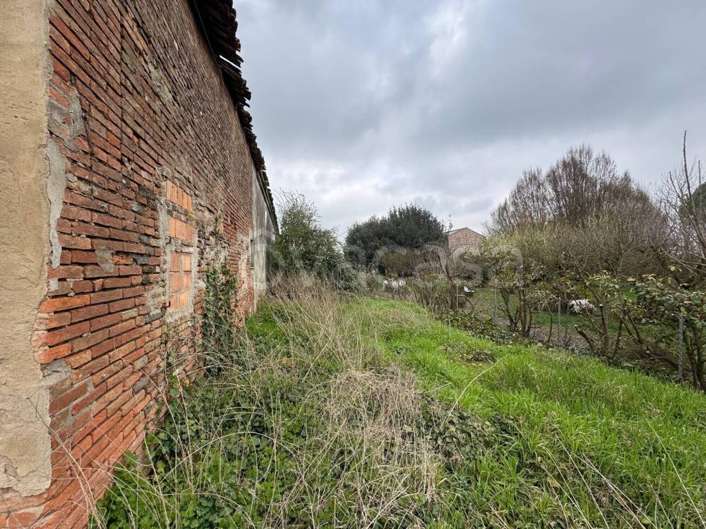 immagine annuncio 4 di 7