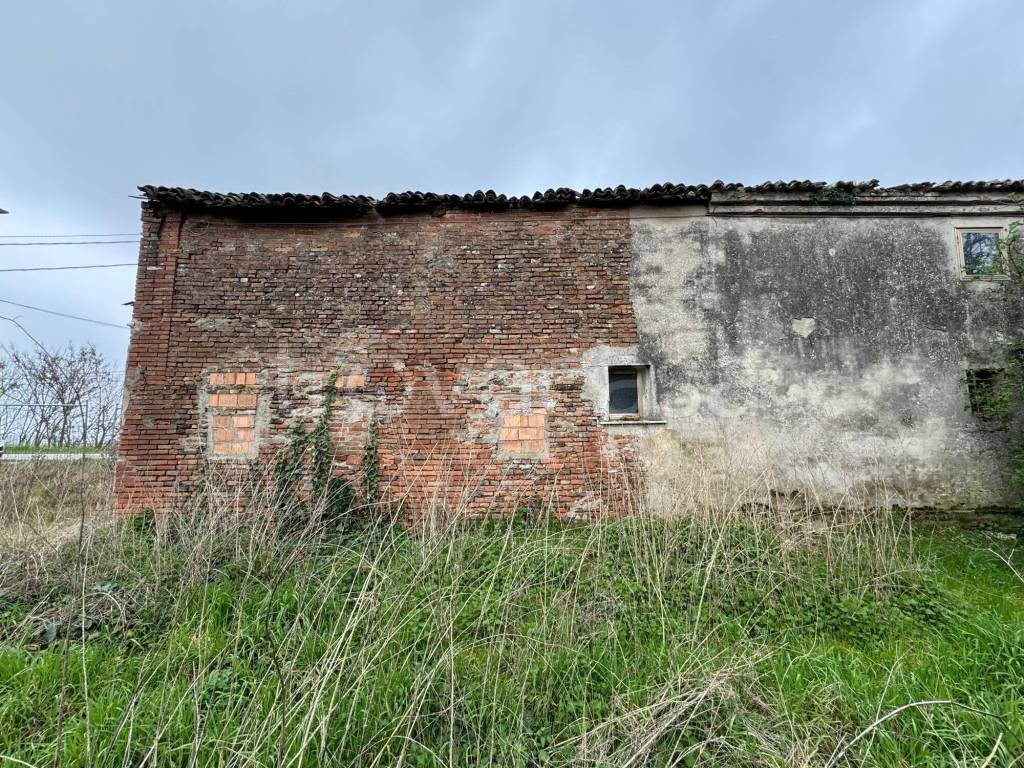 immagine annuncio 5 di 7