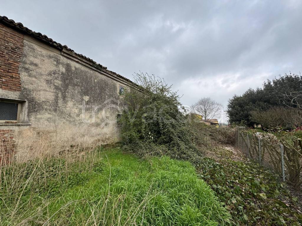 immagine annuncio 6 di 7