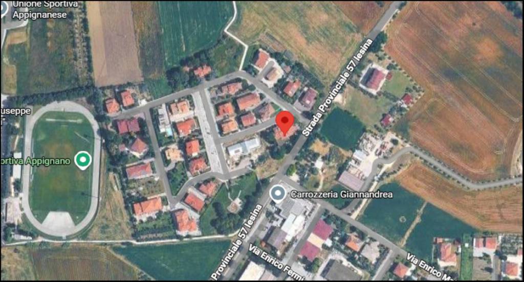 immagine annuncio 11 di 12