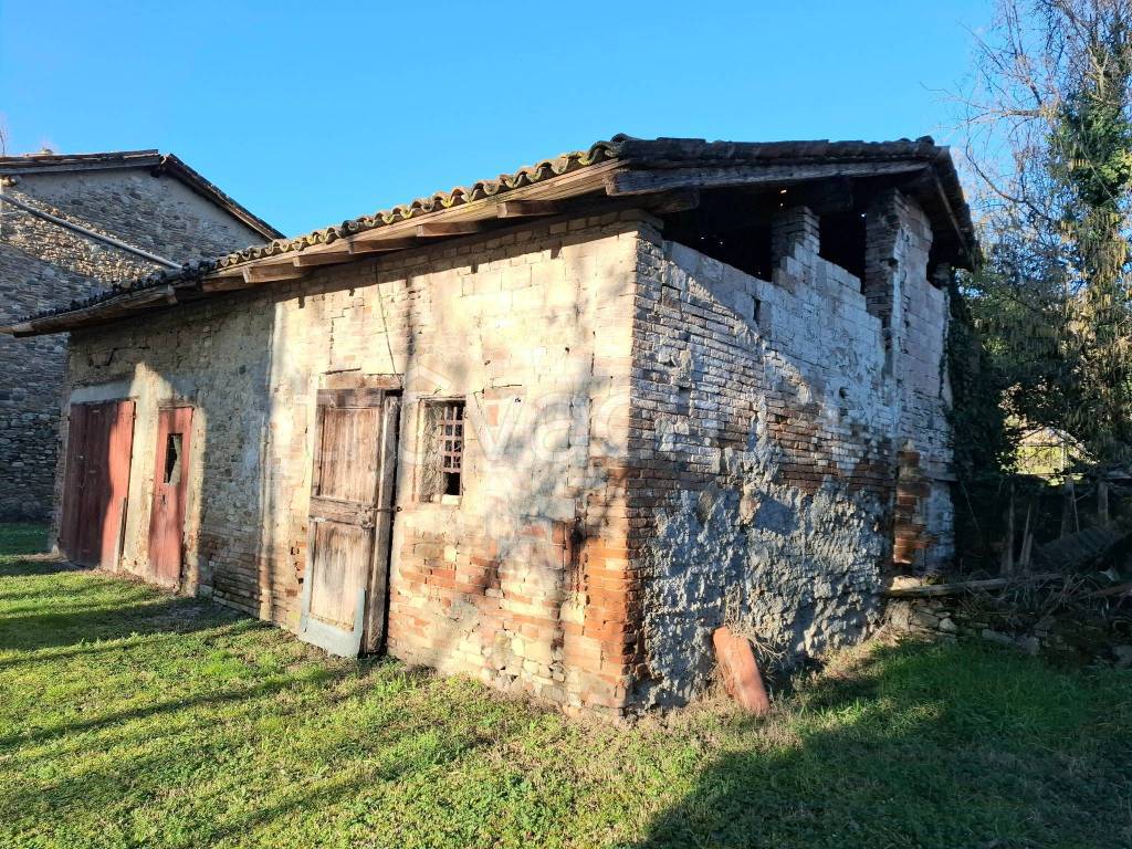 immagine annuncio 4 di 7