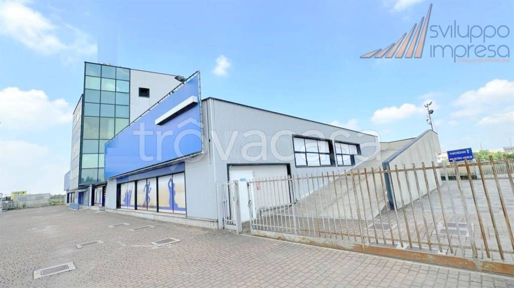 immagine annuncio 3 di 15