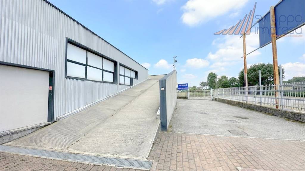 immagine annuncio 6 di 15