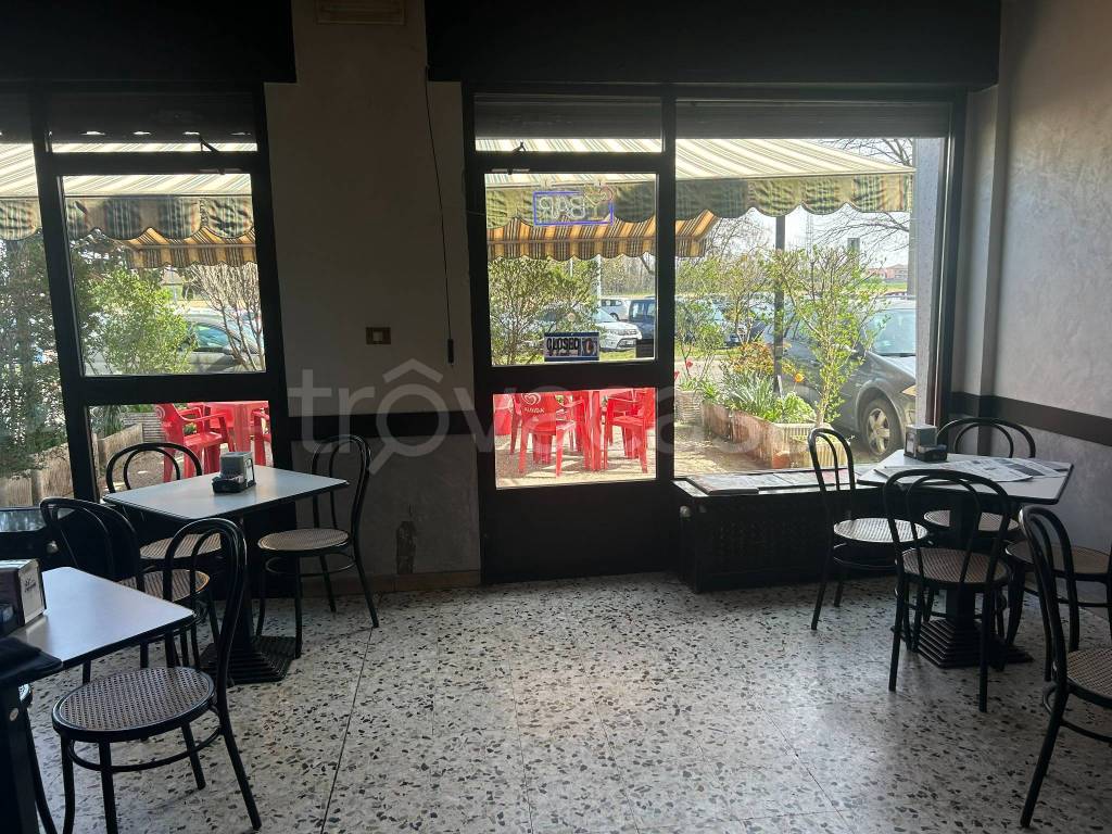 immagine annuncio 6 di 12