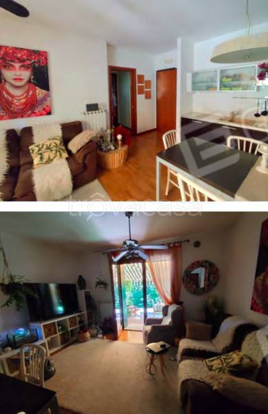 immagine annuncio 3 di 8