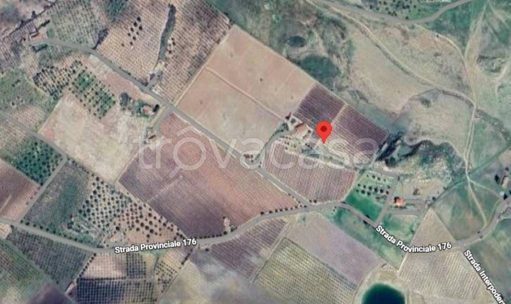 immagine annuncio 9 di 11