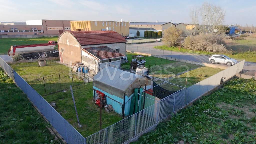 immagine annuncio 2 di 6