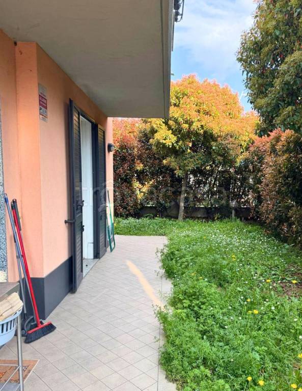 immagine annuncio 1 di 15