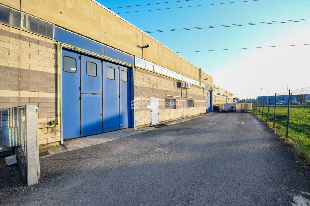 immagine annuncio 11 di 15