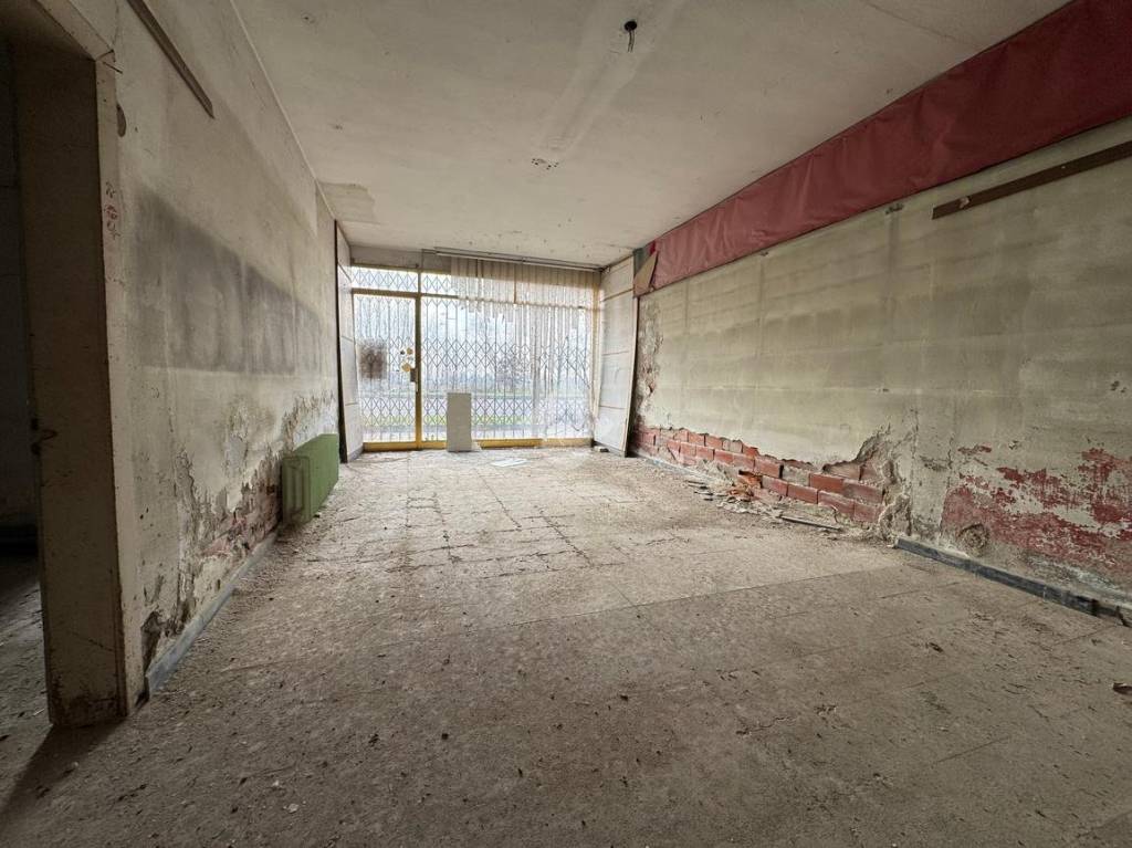 immagine annuncio 2 di 9