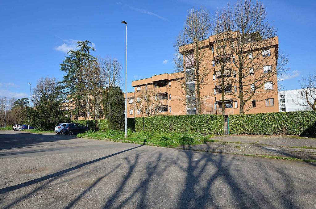 immagine annuncio 13 di 15