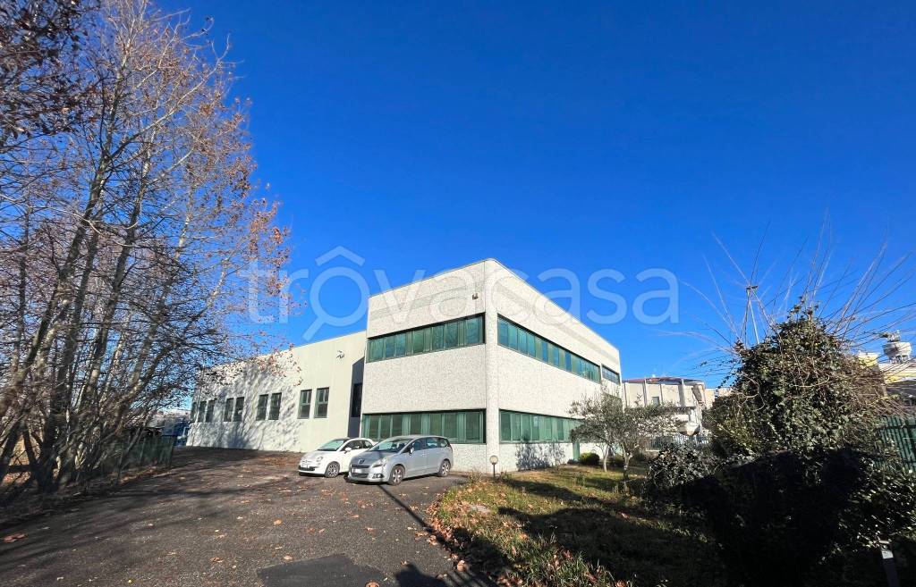 immagine annuncio 12 di 15