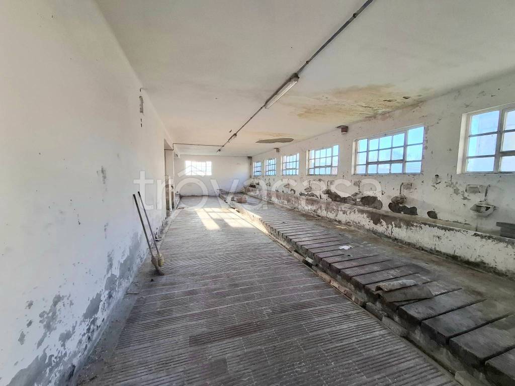 immagine annuncio 7 di 9