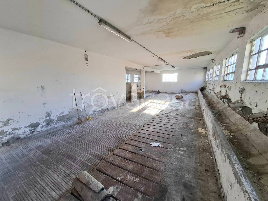 immagine annuncio 8 di 9