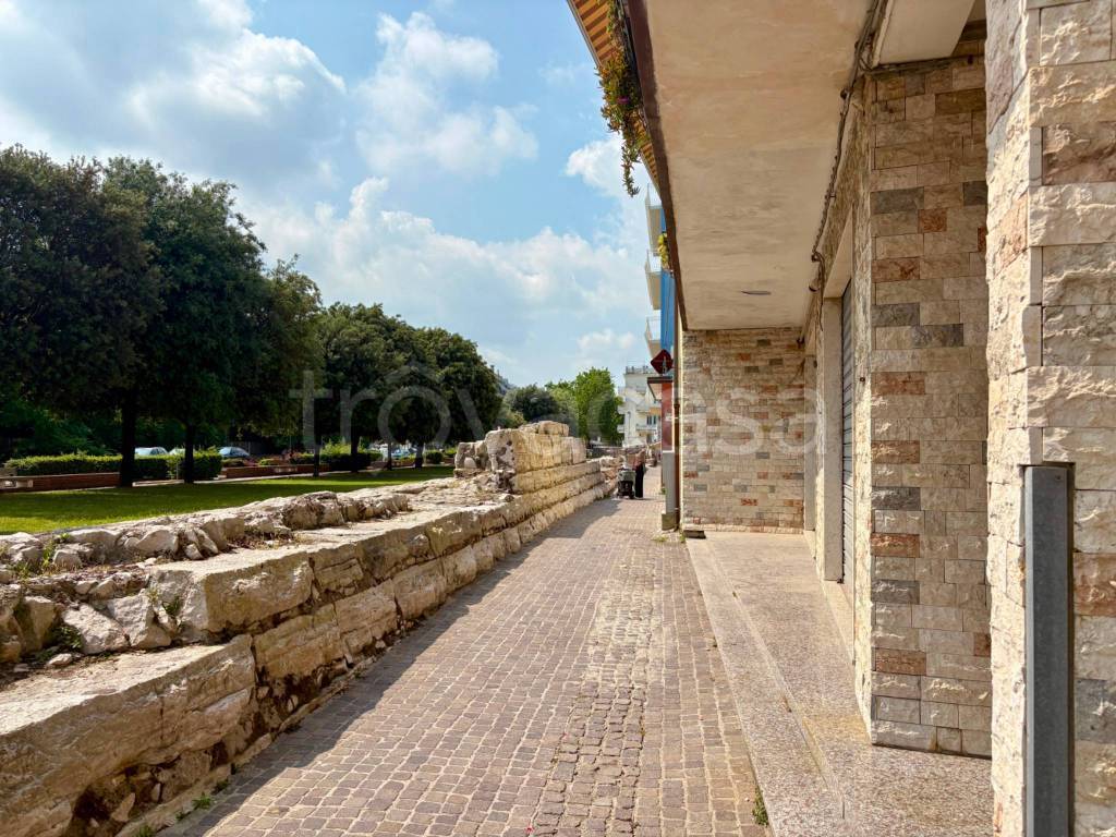 immagine annuncio 11 di 14